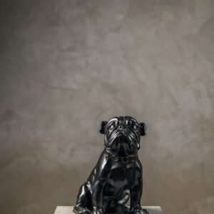 Black Dog
