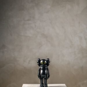 Kaws Black
