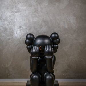 Kaws Hidden – Black