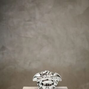 Medusa Head Vase (Silver Small Size)